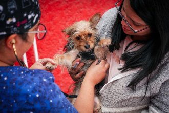 WhatsApp Image 2025-05-13 at 11.39.18 (1).jpeg